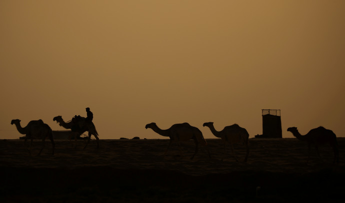 Roman-era military camps found in Saudi Arabian desert - Vimarsana News