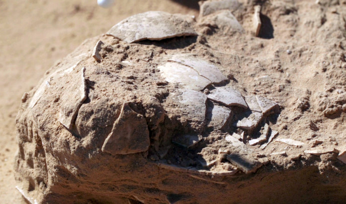 Rotten Eggs Smell - Archaeologists Find Ancient Eggs
