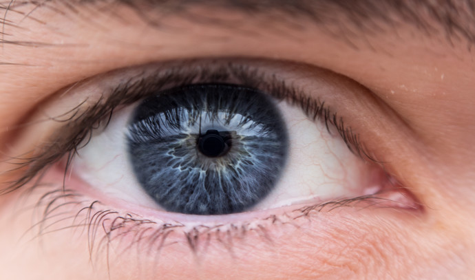 Many visual illusions caused by eyes, not the brain - study - Vimarsana News