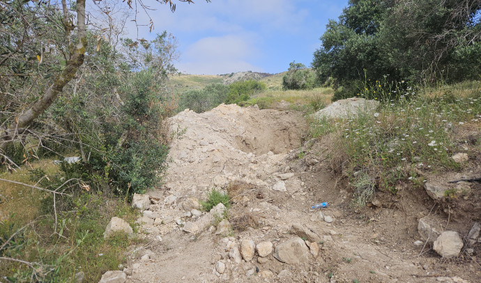 Antiquities robbers caught red-handed looting Roman-era caves - Vimarsana News