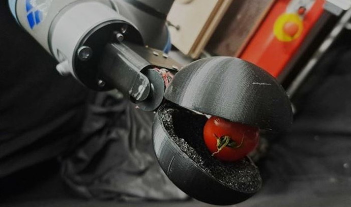 Chat-GPT designs working tomato-picking robot - Vimarsana News
