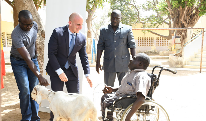 Israeli Embassy hands out sheep for Eid in Senegal - Vimarsana News
