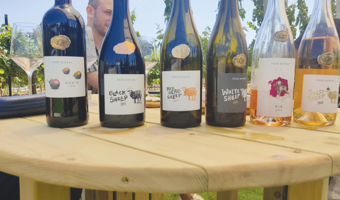 Enjoying Israel's fun Friday wine tasting - Vimarsana News