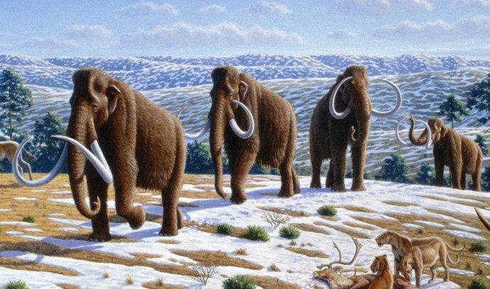 Study: The Warm Ice Age Changed Earth’s Climate Cycles Forever
