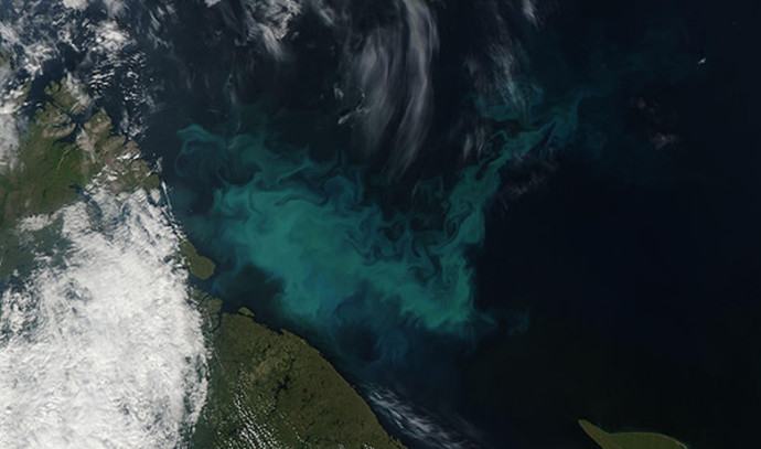 Photo of Le changement climatique a radicalement changé la couleur de l’océan – étude