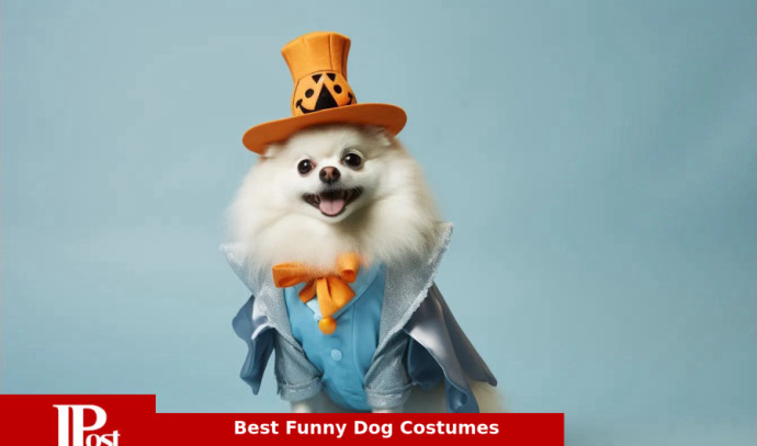 Best Funny Dog Costumes for 2023 - The Jerusalem Post
