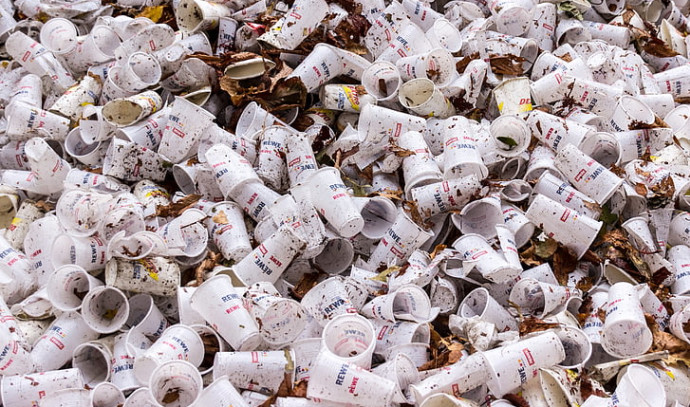 Los vasos de papel no son mejores que los de plástico: una investigación revela una toxicidad oculta