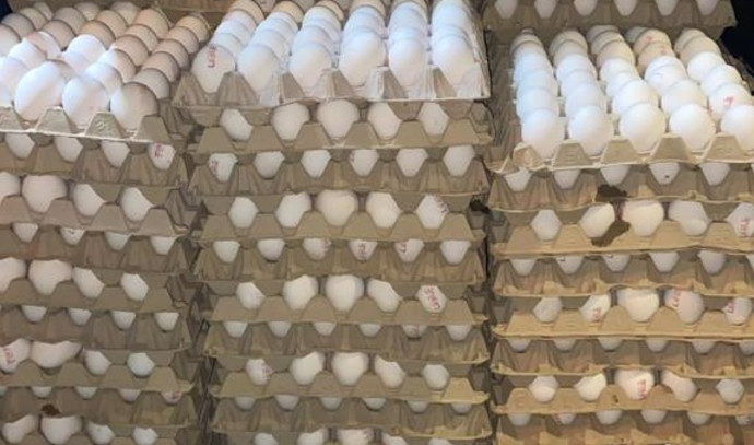 Border Police crack down on attempt to smuggle almost 6,000 eggs - Vimarsana News