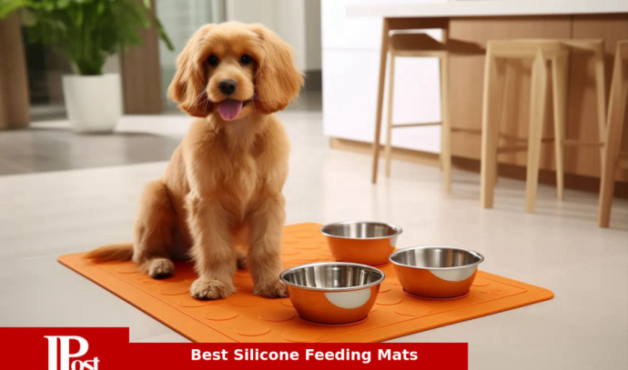 Mdesign Silicone Pet Food/water Bowl Feeding Mat For Dogs, Small