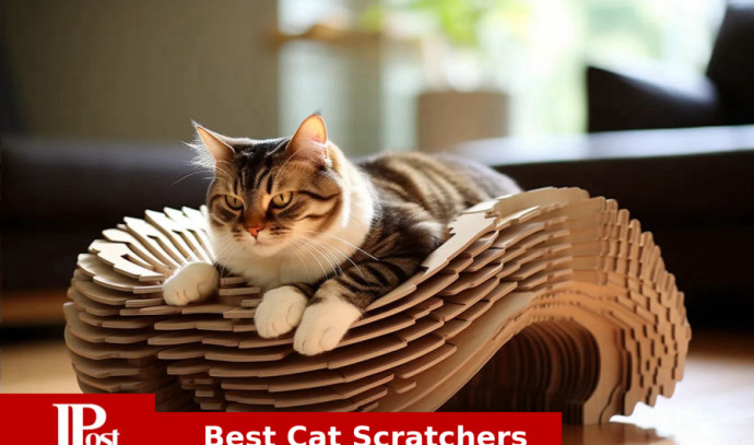  MECOOL Cat Scratching Post Premium Basics Kitten