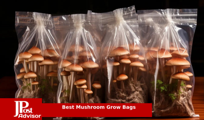 10 Most Popular Mushroom Grow Bags for 2023