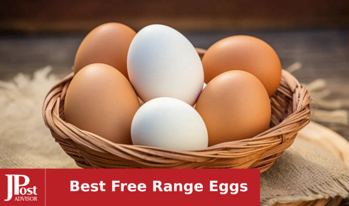 8 Best Free Range Eggs for 2023