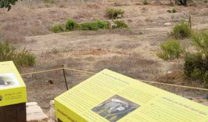 Take a break from Israel's wartime tension with Jerusalem nature spots - Vimarsana News