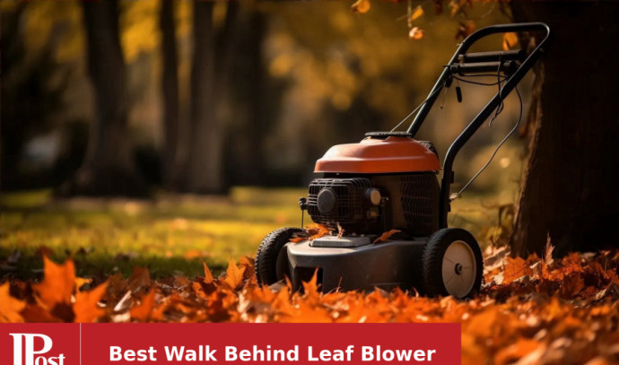 5 Most Popular Walk Behind Leaf Blowers for 2023 - The Jerusalem Post