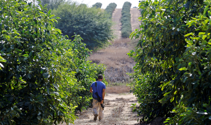 Sri Lankan workers plug gap in Israeli labor force - Vimarsana News