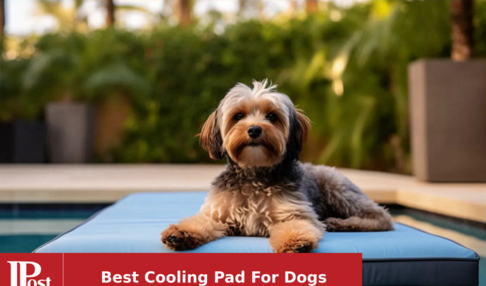 Top 10 Best Selling Cooling Pads for Dogs of 2023