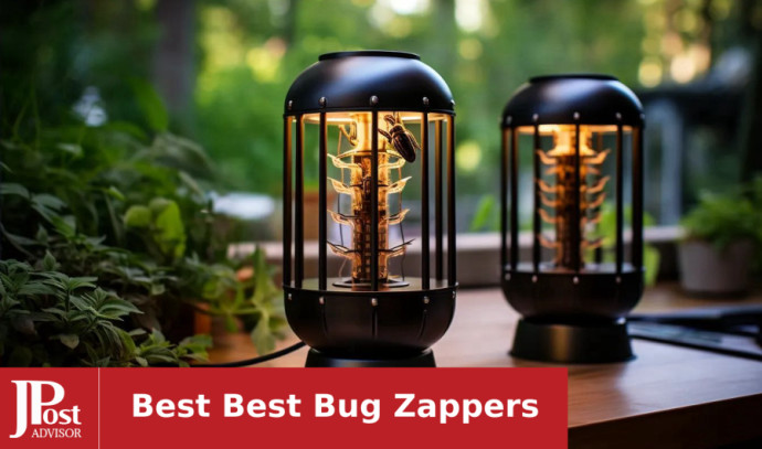 The 6 Best Bug Zappers of 2024, According to Our Research