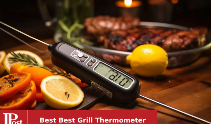 ThermoPro TempSpike 500FT Wireless Meat Thermometer, Bluetooth Meat  Thermometer Wireless for Turkey Beef Lamb, Meat Thermometer Digital  Wireless for