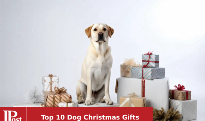 Christmas Gifts for Dogs 2023: What's On Your Dog's Wish List?