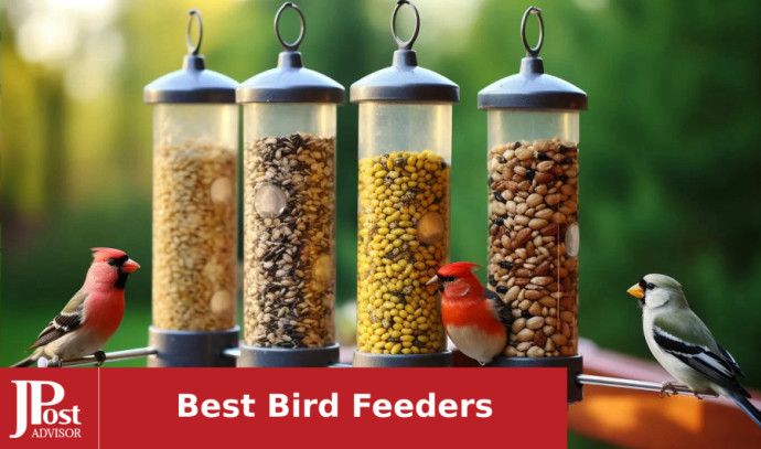 The 10 Best Bird Feeders of 2024