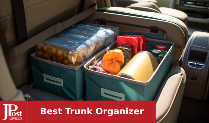 FORTEM Car Trunk Organizer, Collapsible Storage, Non Slip Bottom, Securing  Straps : : Automotive