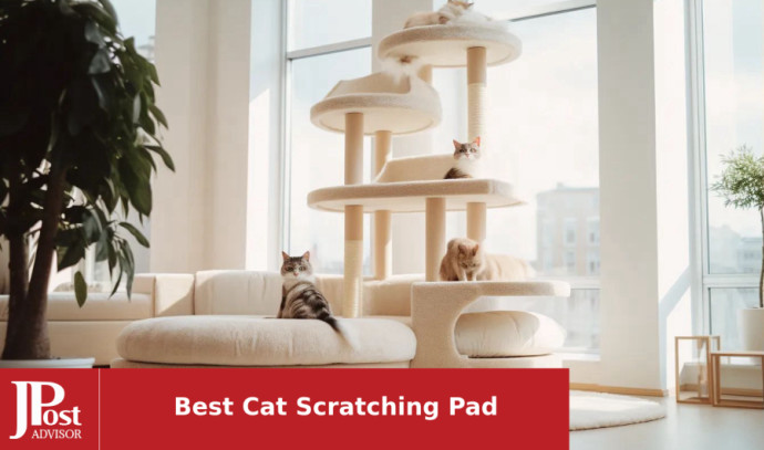 10 Best Cat Scratching Pads for 2023 - Vimarsana News