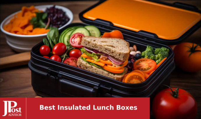 Heating Lunch Box Electric Insulated Lunch Box Food Warmer Perfect for  Picnics, Travelling, Hiking, Camping 