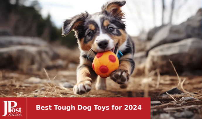 10 Most Por Tough Dog Toys For 2024