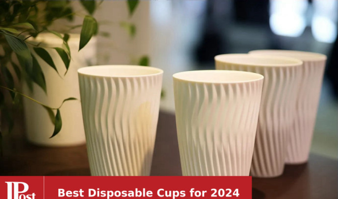 Prestee 200 Clear Plastic Cups - 9 Ounce, Hard Disposable Cups, Plastic  Wine Cups, Plastic Cocktail …See more Prestee 200 Clear Plastic Cups - 9