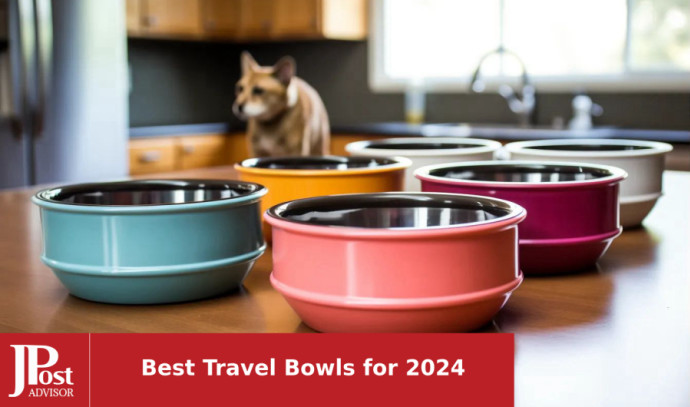 SLSON 2Pack Dog Bowl Pet Collapsible Bowls,Integrated Molding Travel Bowl  No Plastic Rim Pet Feeding Bowls for Walking Traveling Outdoors,600ML Navy  Blue+Dark Green