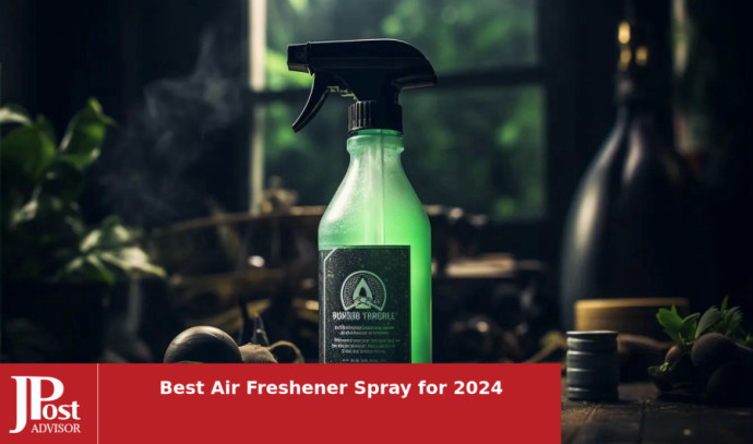8 Best Funny Air Freshener For 2024