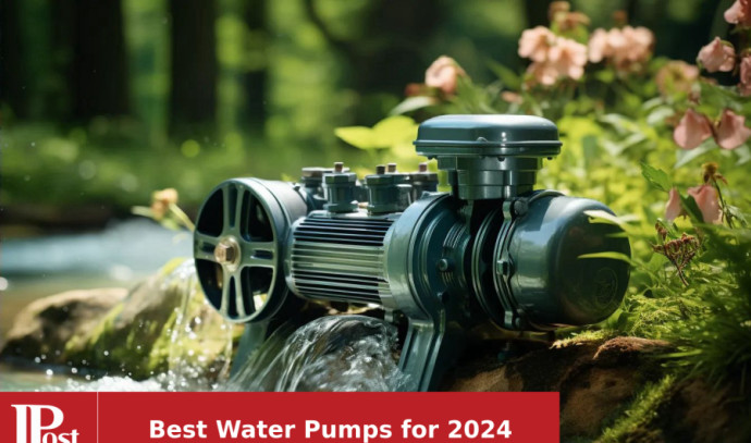 10 Amazing Portable Water Pump for 2024