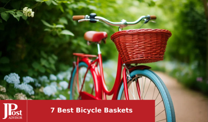 The 6 Best Dog Bike Baskets of 2024