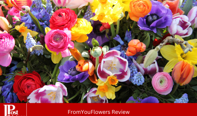 FromYouFlowers Review: Unveiling the Petals of Possibility - Vimarsana News