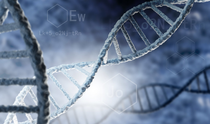 DNA study of ancient Eastern Arabians reveals protection against malaria - Vimarsana News