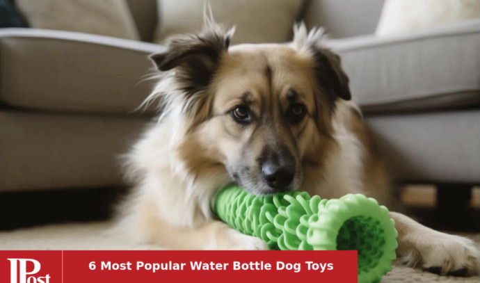 6 jouets pour chiens en bouteille d’eau les plus populaires de 2024