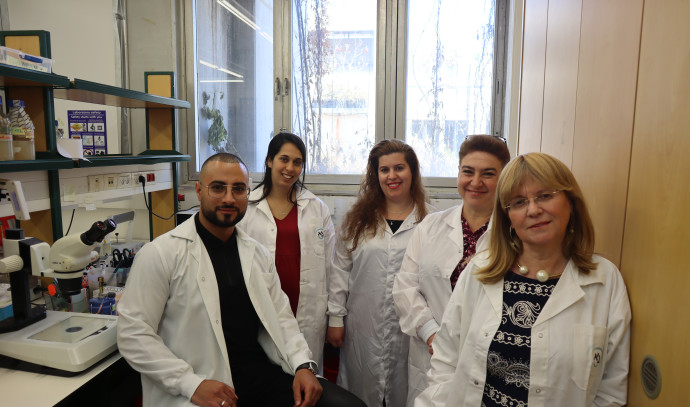 Bar Ilan University use pioneering model for human muscle disease - Vimarsana News