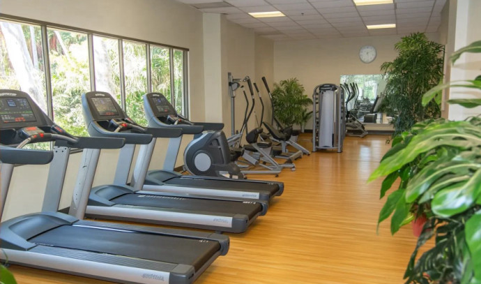 The Best Leg Exercise Machine For Elderly of 2024