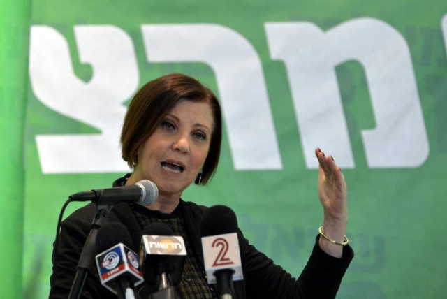 Meretz leader Zehava Gal-On presenting the party's diplomatic platform (credit: MERETZ)