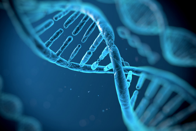 The secret to healing what ails you lies within your own DNA (credit: DREAMSTIME)