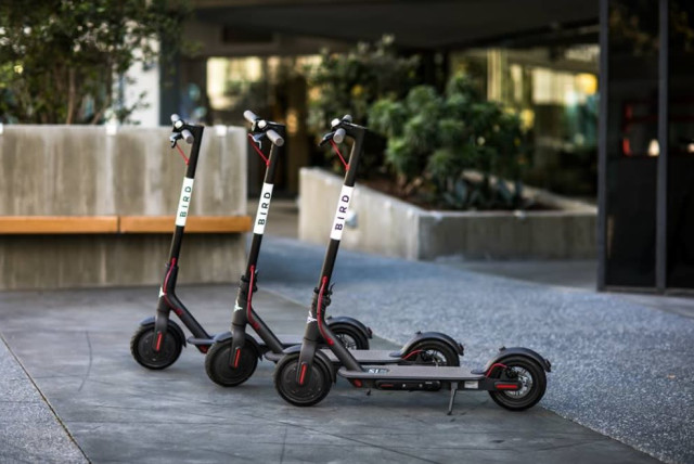 Mudret pulsåre Indvandring It's time to enforce laws to monitor electric scooters - opinion - The  Jerusalem Post