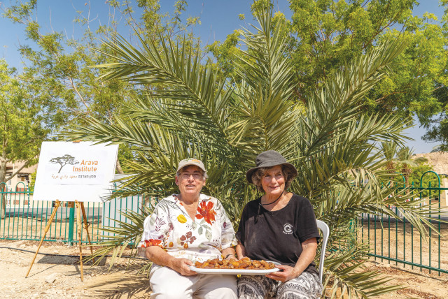 ‘A HONEY or caramel aftertaste.’ Researchers Dr. Elaine Soloway of the Arava Institute for Environmental Studies (left), along with Dr. Sarah Salon of Hadassah Medical Center, moments after picking the dates. (credit: MARCOS SCHONHOLZ)