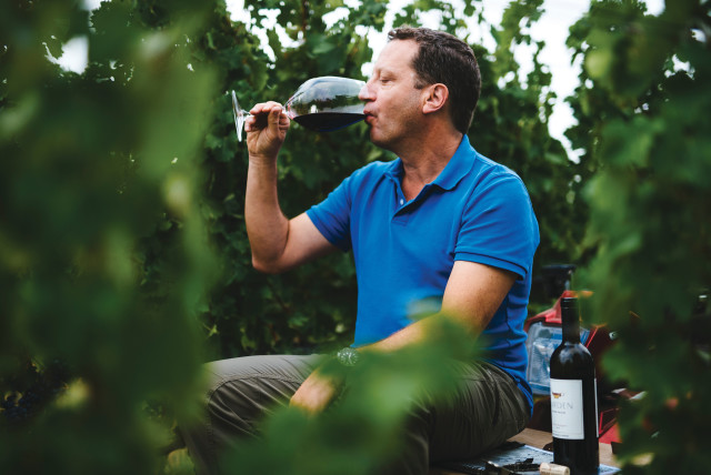 Why Victor Schoenfeld Became a Winemaker