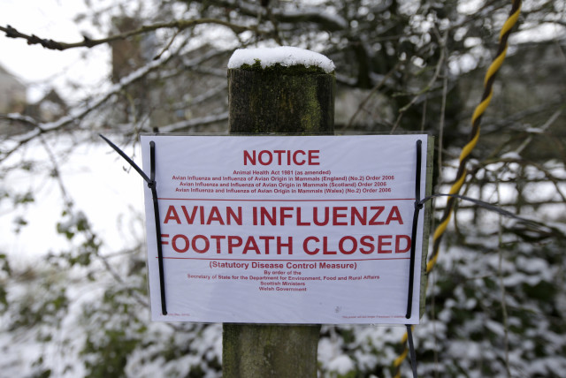 A sign at the edge of an exclusion zone warns of the closure of a footpath after an outbreak of bird flu in the village of Upham in southern England, February 3, 2015. (credit: REUTERS/PETER NICHOLLS)