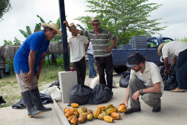 Austrian man Carl Schweizer (R) trades cocoa cobs and beans with local farmers in Piedra de Plata, Ecuador, June 4, 2016. (credit: REUTERS/GUILLERMO GRANJA)