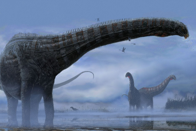  A handout illustration shows a sauropod dinosaur that lived 150 million years ago. (credit: Courtesy of Woodruff et al. (2022) and Corbin Rainbolt/Handout via REUTERS)
