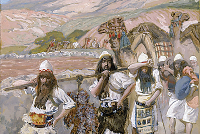  The Grapes of Canaan by James Tissot (circa 1900). Although the 12 spies brought back a cluster of grapes so large that it took two men to carry it, only two of the 12 brought back a good report of the land. (credit: WIKIPEDIA)