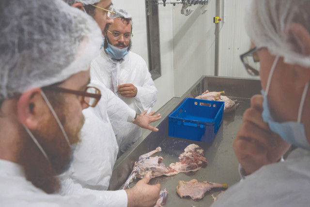  RABBIS EXAMINE the production line at Quality Poultry KFT in Csengele, Hungary.  (credit: ZSOLT DEMECS)