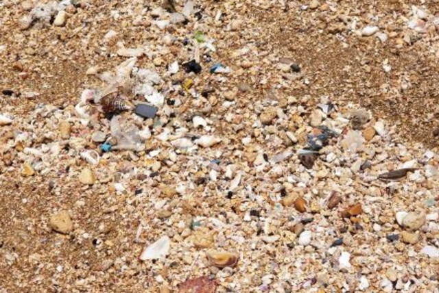  Plastic waste at the beach (credit: TEL AVIV UNIVERSITY)