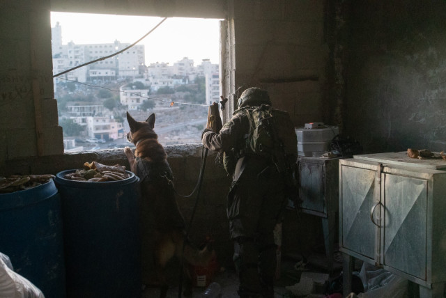  An IDF security officer and military canine look out of a window during Operation Break the Wave 2022.  (credit: IDF SPOKESPERSON'S UNIT)